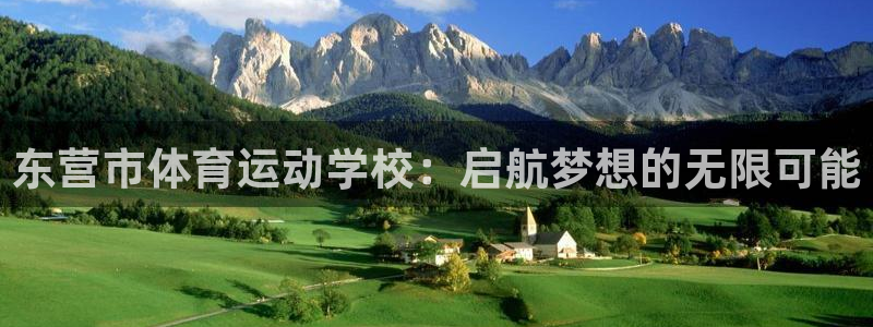 yy易游官方正版app集团E.ON:东营市体育运动学校:启航