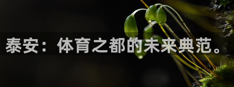 yy易游官方正版app娱乐平台:泰安:体育之都的未来典范。