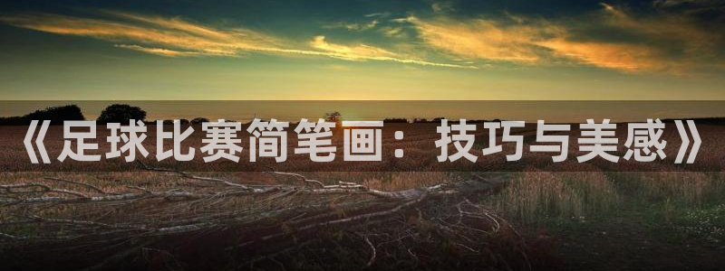 yy易游官方正版app五金厂:《足球比赛简笔画:技巧与美感》