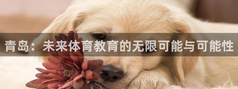 yy易游官网下载招商电话号码查询是多少:青岛:未来体育教育的